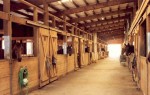 Barn Aisle Best