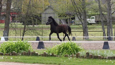 Sampson Featured