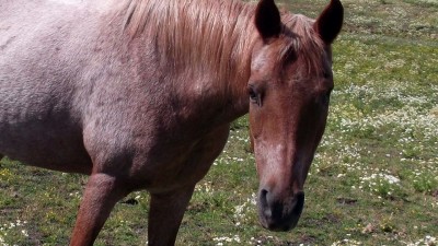 Sandy Featured