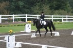 Horse Show